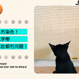 CATPAK-100%純劍麻貓抓墊-加厚 貓抓板 磨抓唔掉屑全屋萬用貼-專治貓爪拆家